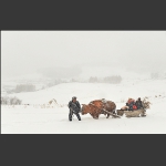 风雪归途