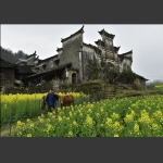 花海家园