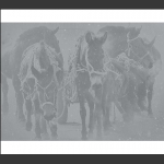 雪中辕马