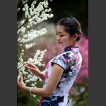 赏梅