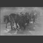 赶集路上