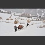 雪村正月
