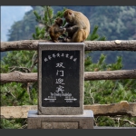 母子情深