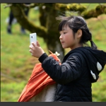 赏春