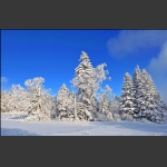 淞润雪岭