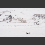 鸭绿江百里画廊