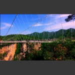 风景桥边独好