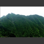 五雷山的后花园