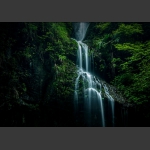 水韵