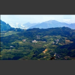 山村梯田B