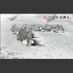 大漠之舟