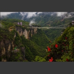 云天渡之春-4