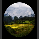 田园风光