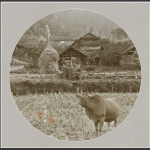 回望