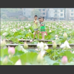 花海童趣