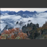 天子山秋之晨
