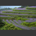 包公山风光