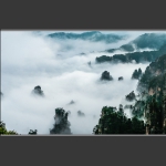 天子山云海奇观