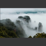 天子山云海奇观