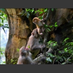 组照：《瞧这一家子》