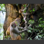 组照：《瞧这一家子》(图4)