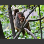 组照：《瞧这一家子》(图7)