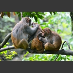 组照：《瞧这一家子》(图8)