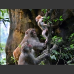 组照：《瞧这一家子》(图3)