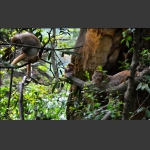 组照：《瞧这一家子》(图6)