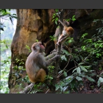 组照：《瞧这一家子》（图1）