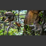 组照：《瞧这一家子》(图5)