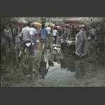 匆匆雨中行