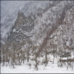 鸭绿江百里画廊