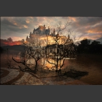 《映象三门塘》