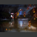 雨夜印象