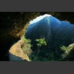 峡谷春色