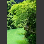 峡谷春意