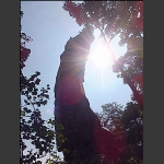 神鹰遥望天空【三】