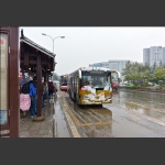 记忆中的10路公交