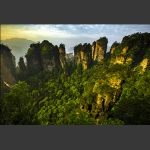《绿色盆景》