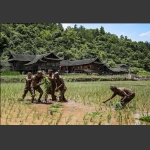 糊仓