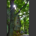 宝天曼风光