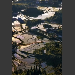 阡陌图