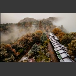 2016年天子山首场雪