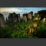 《绿色盆景》