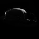 人体