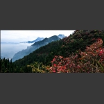 山霭苍苍