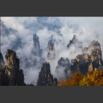 《淡墨青山一点红》