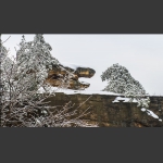 金龟卧雪