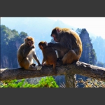 爸爸去哪儿了？